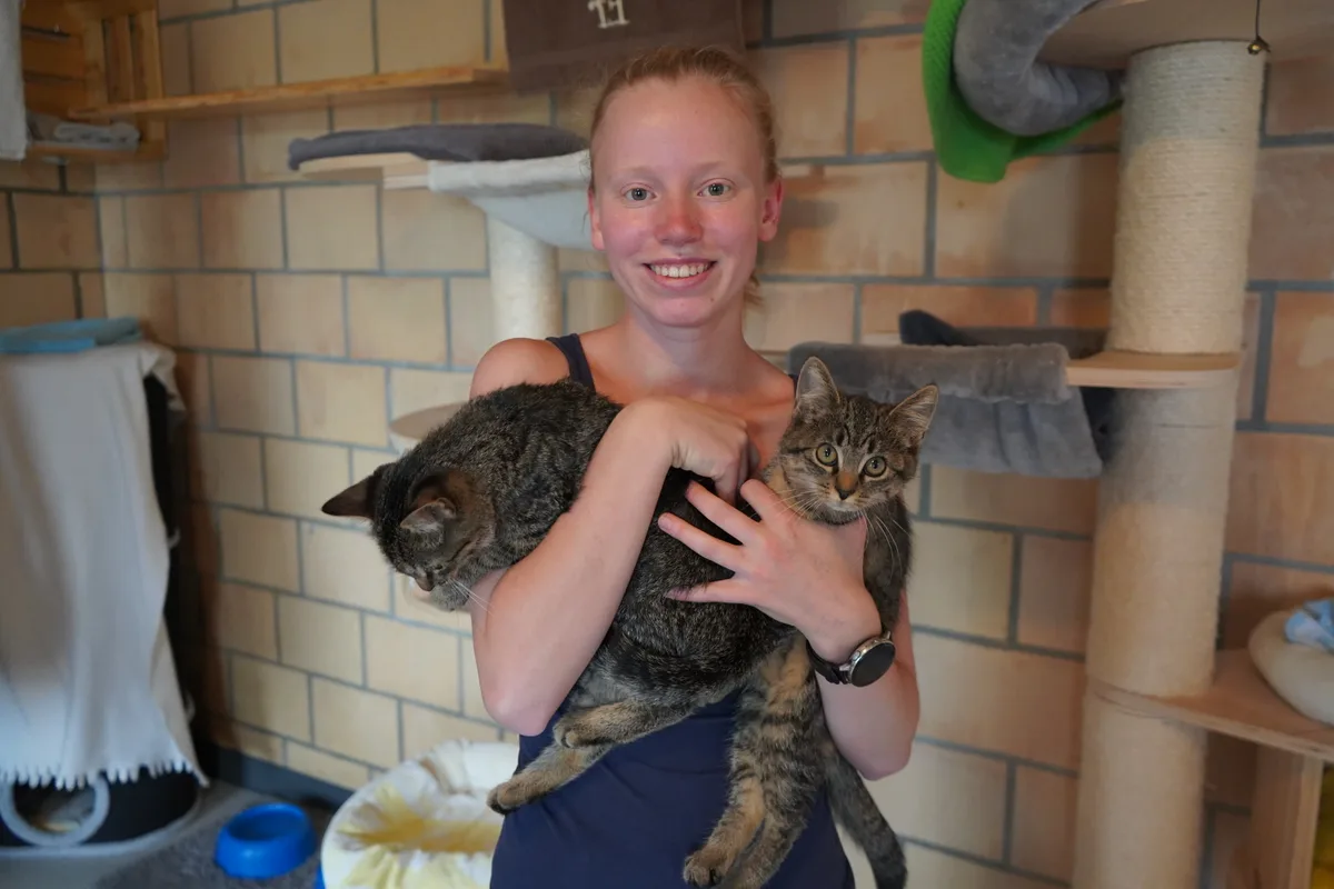 Bilder von den Katzen, die sich im Tierheim Strubeli in Hegnau (Volketswil) aufhalten.
